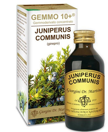 Ginepro 100ml Analco Gemmo 10+