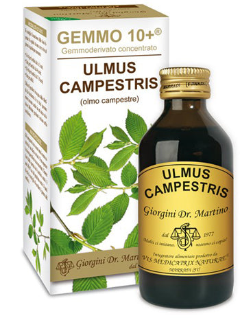 Olmo Camp 100ml Analco Gemm10+
