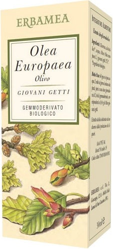Olea Europea Olivo Bio 50ml