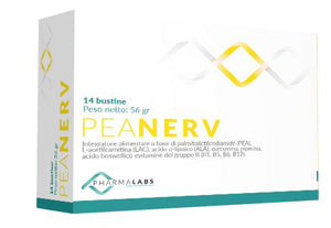 Peanerv Bustine 14bust