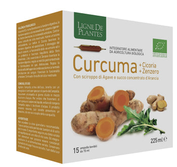 Curcuma Cicoria Zenz 15ampolle