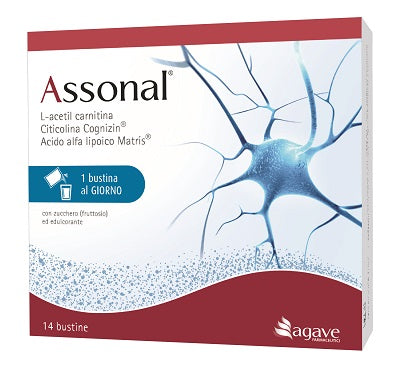 Assonal 14bust