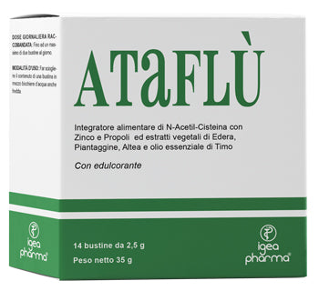 Ataflu' 14bust