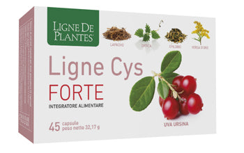 Ligne Cys Forte 45cps