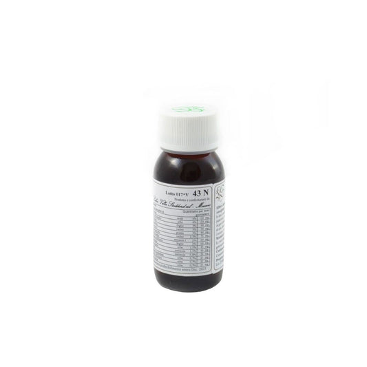 Lvs 43n Populus Nigra Comp